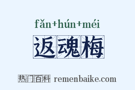 返魂梅是什么意思的图片